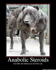 Legal steroids bodybuilding forum