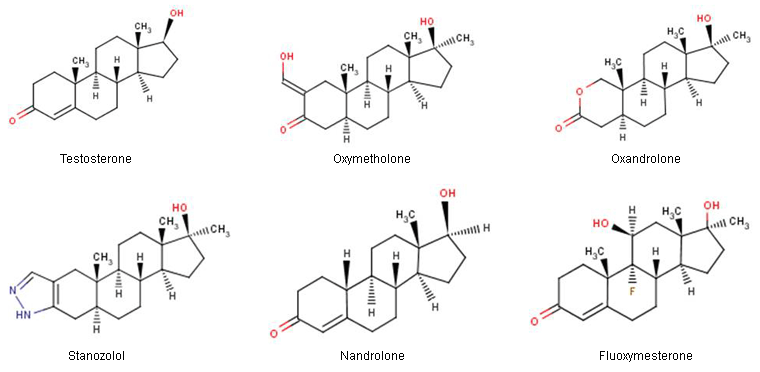 A Comprehensive Study Of Anabolic Steroids