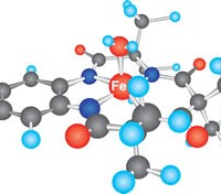 Anti-Estrogen