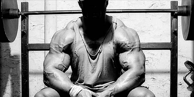 Anabolic Steroids Pictures