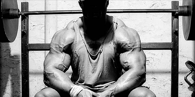 anabolic steroids pictures