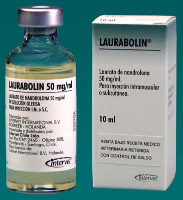 A Detailed Look At The Steroid, Laurabolin