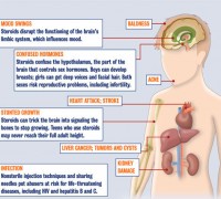 steroids facts