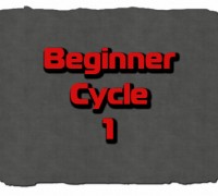 beginner steroids cycle
