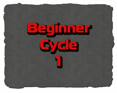 beginner steroids cycle