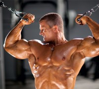 muscle growth