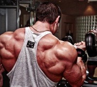 bodybuilding workout