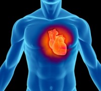 heart steroids