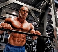 muscle gains