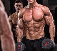 steroid cycle