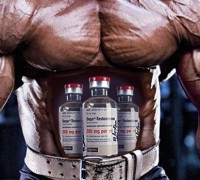 steroids bodybuilding