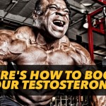 How To Boost Your Testosterone Production