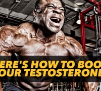testosterone levels