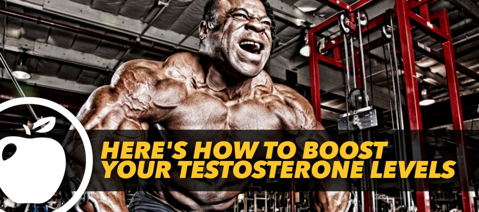 testosterone levels