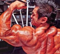 bodybuilding steroids