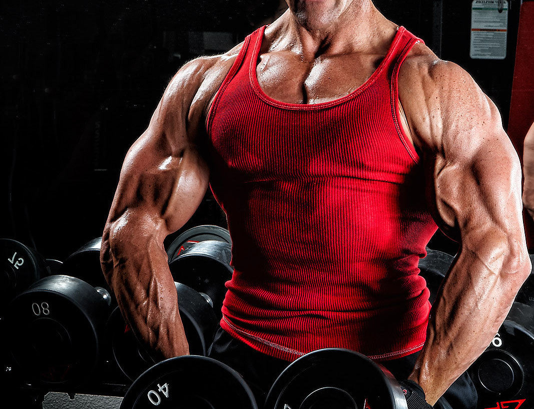 First Steroid Cycle Recommendations Anabolic Steroids Info first-steroid-cycle-recommendations-anabolic-steroids-info