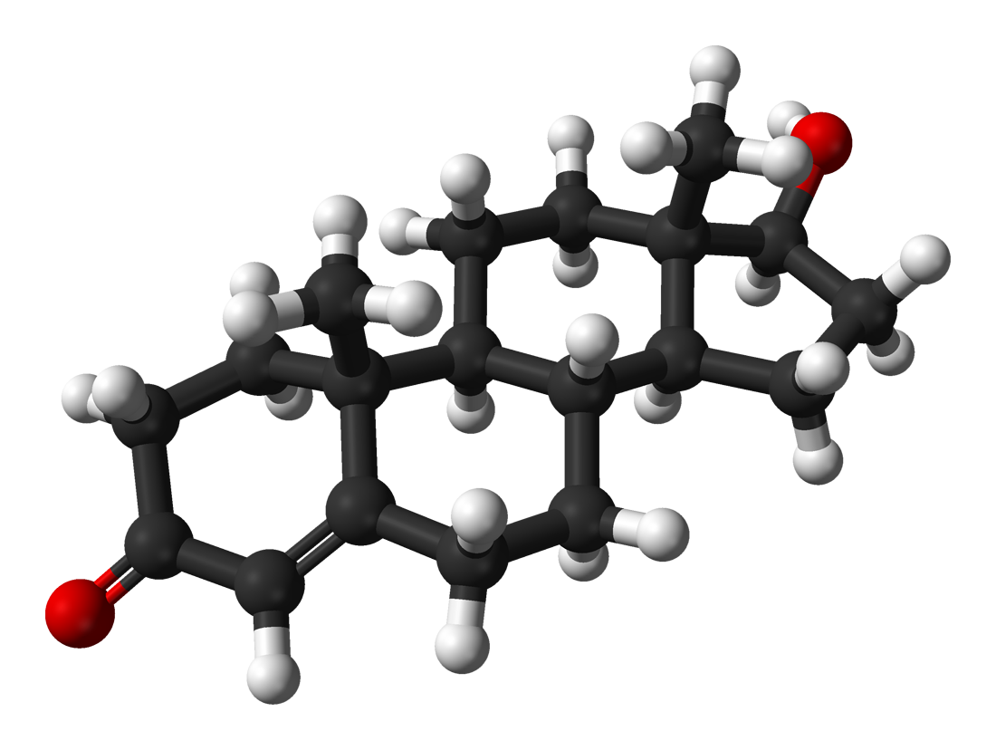 Tips For Boosting Testosterone Levels When Off-cycle