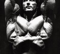steroids evolution