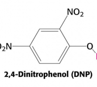 dnp