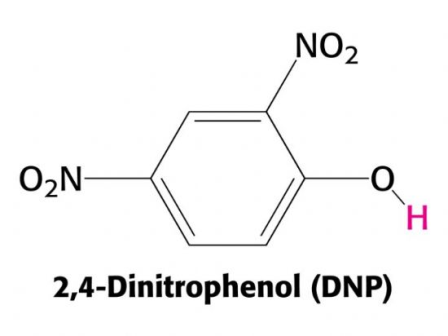 dnp