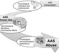 anabolic steroids effects on brain