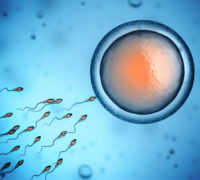 male infertility
