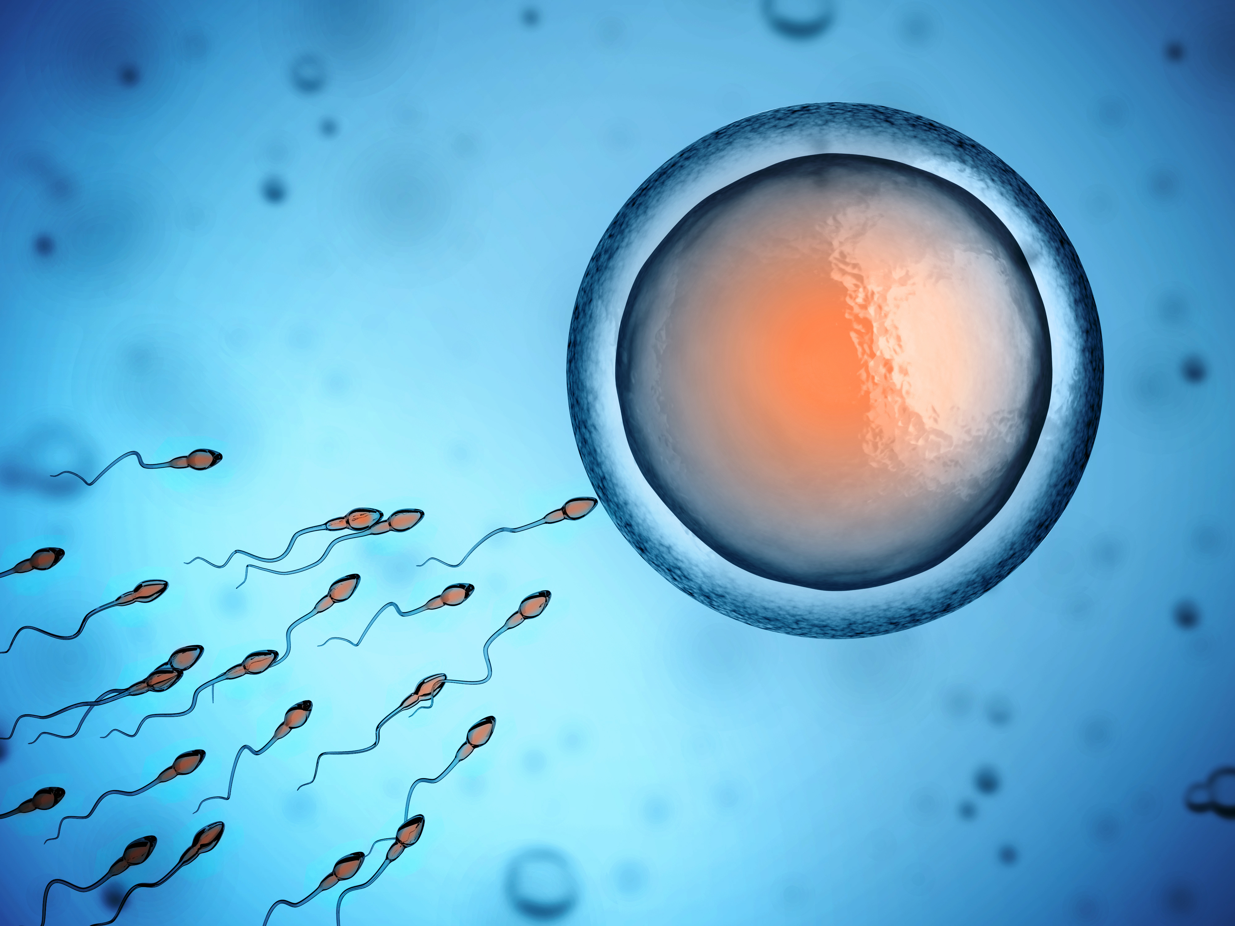 Male Infertility And Steroid Use