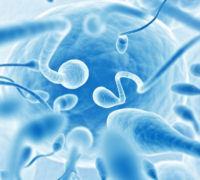 sperm count