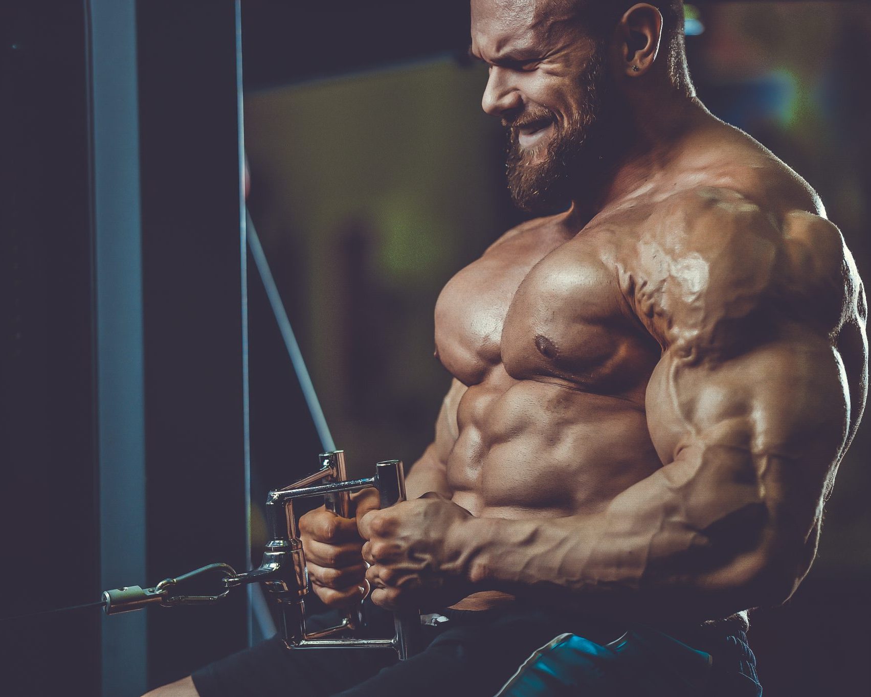 bodybuilding drugs