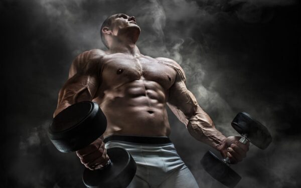 A Look At Anabolic Steroids For Medical Use