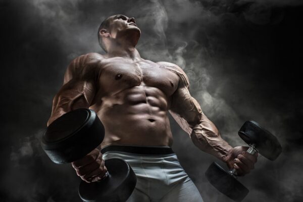 A Look At Anabolic Steroids For Medical Use