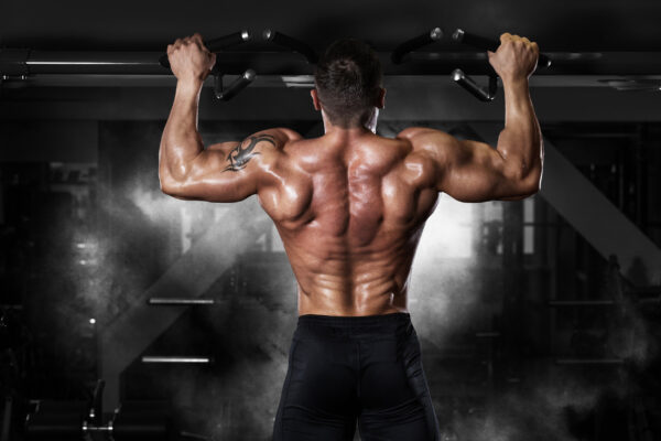 The Difference In Muscle Fiber Composition of Anabolic Steroid Users