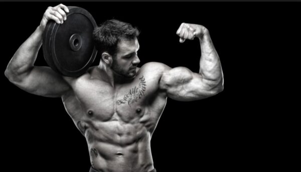 The Domestic Use Of Anabolic Steroids In America