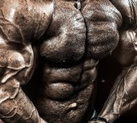 hormones muscle growth