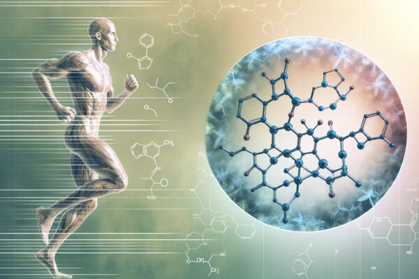 How Aromatase Inhibitors Affect Your Physique