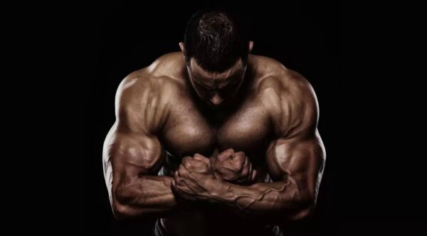 How To Properly Construct An Anabolic Steroid Cycle