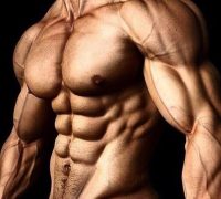 killer steroid cycles