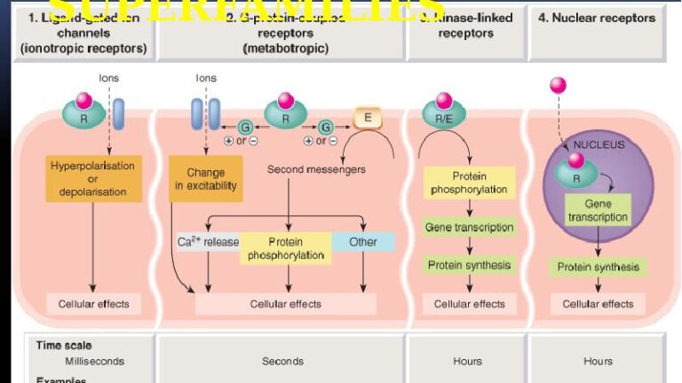 receptor damage from deca
