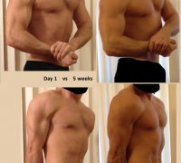 steroid cycle