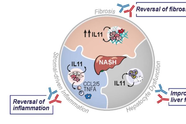 Steroids effects on inflammation reversal