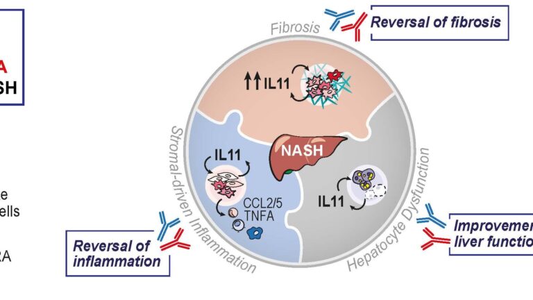 steroids effects on inflammation reversal