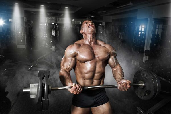 The Preference Of Steroids Use For Sports And Exercise Functions