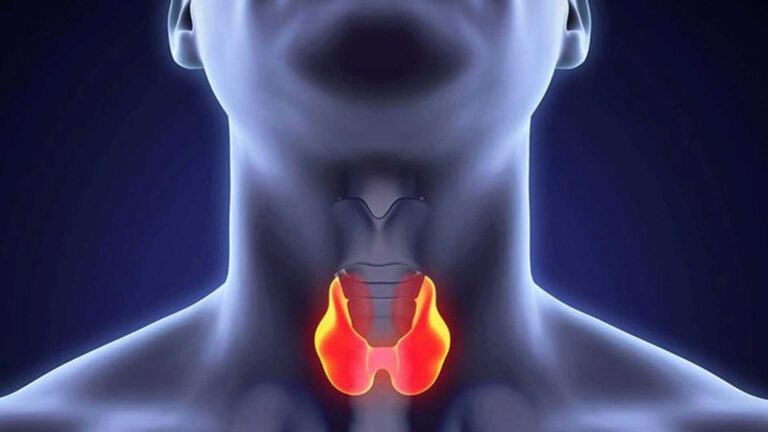 thyroid gland therapy using novothyral