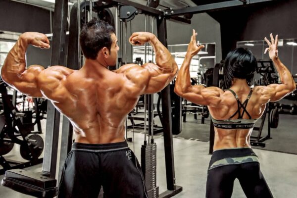 Top Muscle Enhancers In The Bodybuilding Market Today